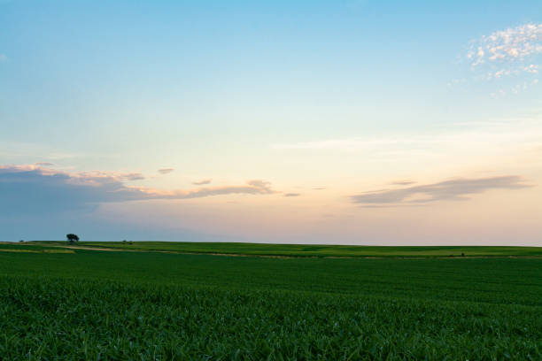 istock Sunset in rural Illinois 1162424225