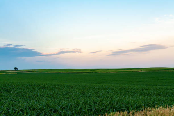 istock Sunset in rural Illinois 1162425960