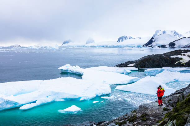 tourist taking photos of amazing frozen landscape in antarctica with icebergs, snow, mountains and glaciers, beautiful nature in antarctic peninsula with ice - antarctica imagens e fotografias de stock