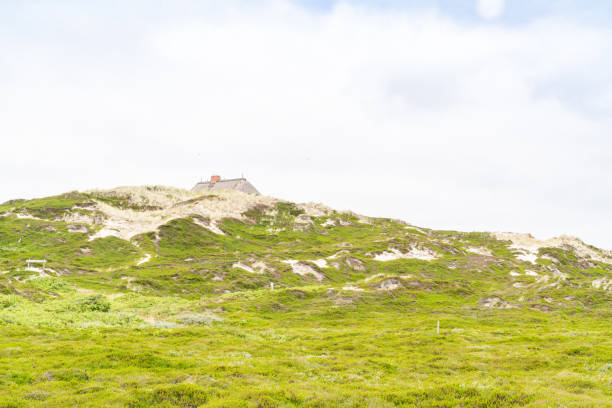 Nature in the mountains of Cantabria. Spain