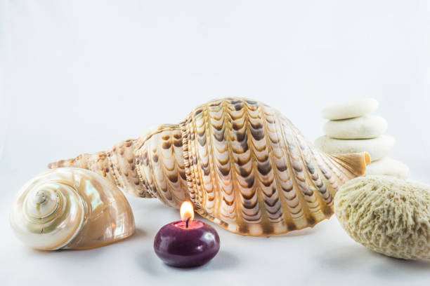 Word Relax Written With Arranged Seashells on Blue Wood From Directly Above.