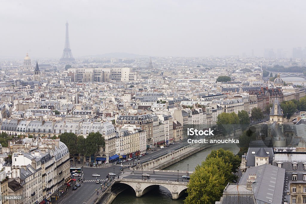 Paris panorama-widok z góry - Zbiór zdjęć royalty-free (Architektura)