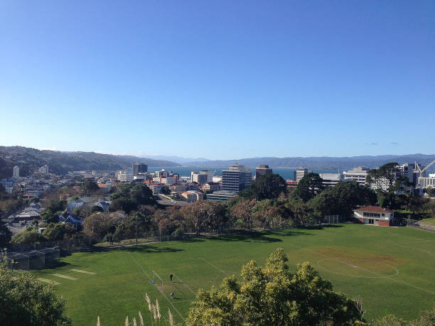 istock Landscape view with blue sky on Wellington city 1162431345