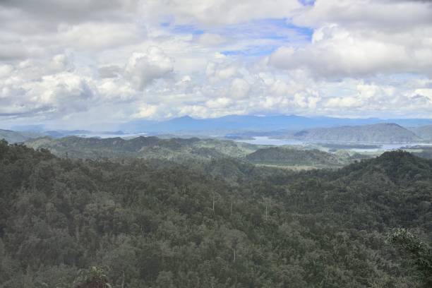istock Forest Of Thailand with Landscape View 1162431553