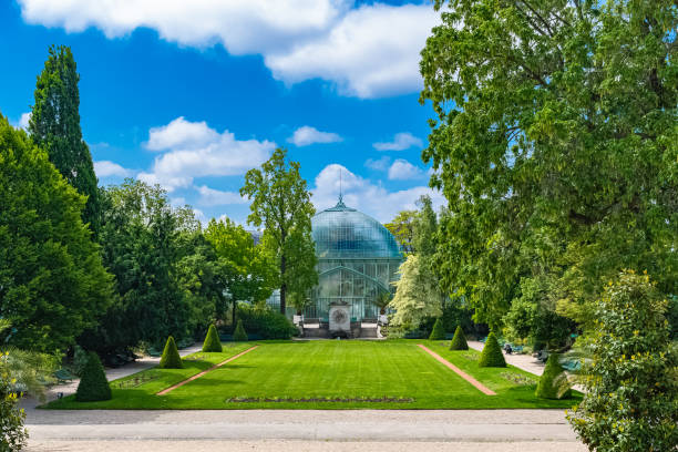 istock Paris, the Auteuil greenhouses 1162432347