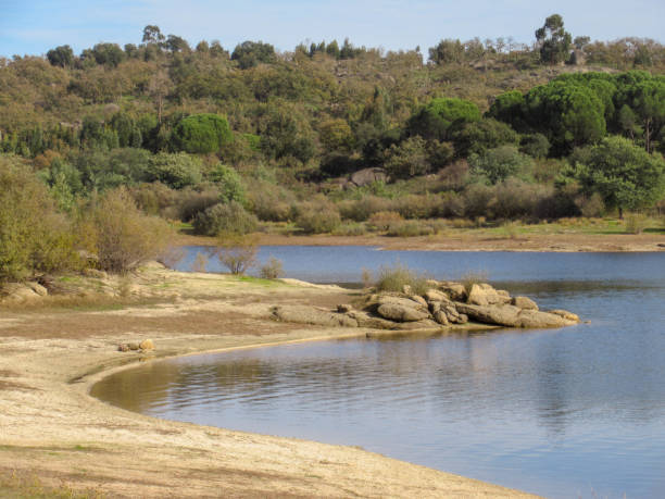 istock Lake in the countryside: Water reflection 1162432907