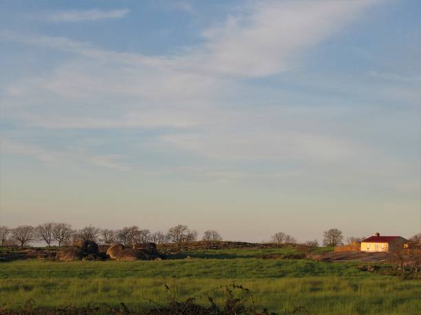 istock Small yellow house: portuguese countryside 1162433014