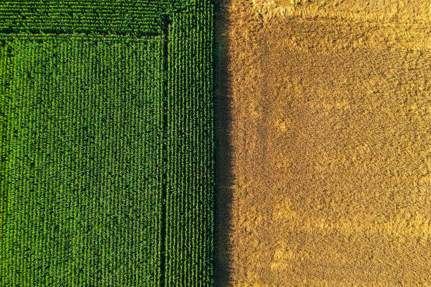 campo agrícola visto desde la parte superior - plowed field field fruit vegetable fotografías e imágenes de stock