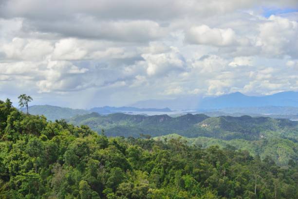 istock Forest Of Thailand with Landscape View 1162434153