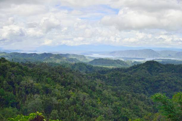 istock Forest Of Thailand with Landscape View 1162434157