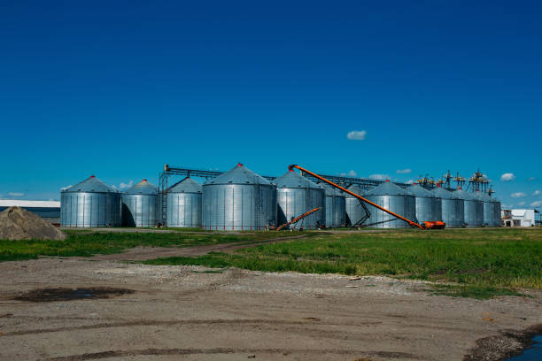 istock Metal grain elevator silos of compound food factory 1162437642