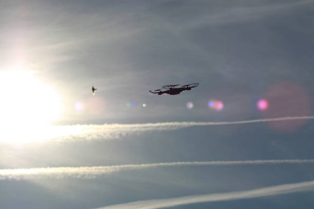 Drone silhouette flying against white contrails from airplanes. Past flying bird next to the copter, sun and sun glare background.