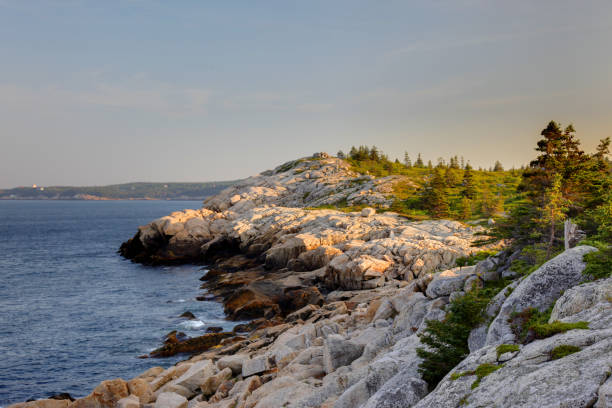 istock Rocks at Herring Cove, Nova Scotia 1162438675