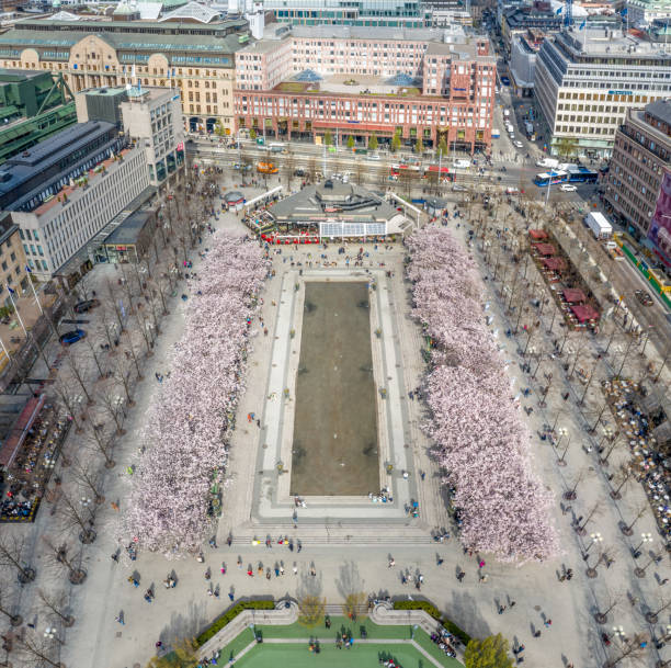 istock First cherry blossom and fountain, Kungstradgarden 1162440280