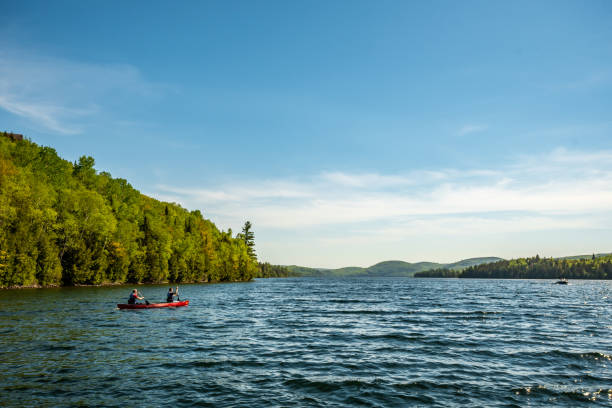 istock Young gay couple canoeing on a lake. 1162450367