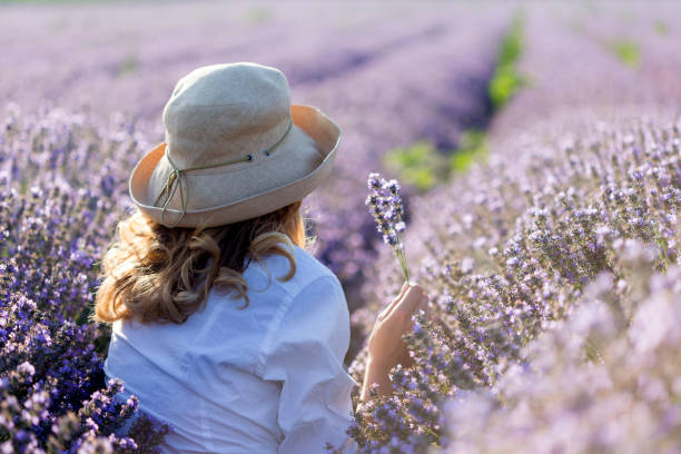 istock Beauty in Lavender Field 1162454653