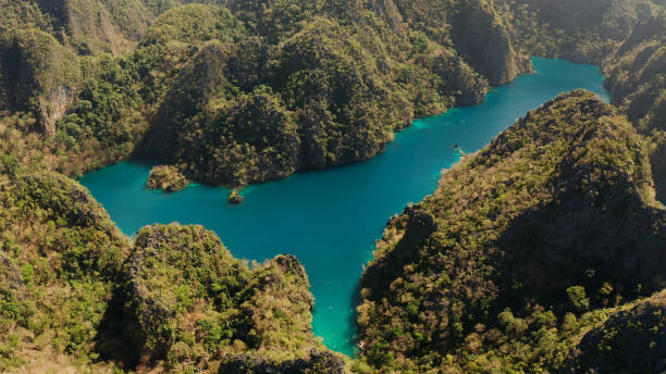 górskie jezioro kayangan na tropikalnej wyspie, filipiny, coron, palawan - kayangan lake zdjęcia i obrazy z banku zdjęć