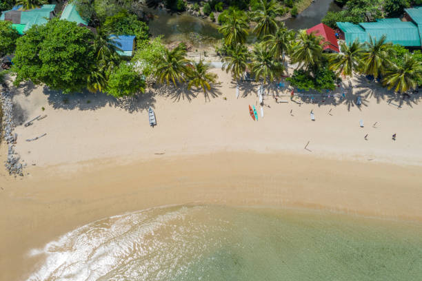 istock Aerial view of the beach 1162457956