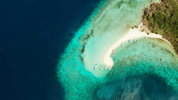 istock tropical island with sandy beach, Philippines, Palawan 1162458646