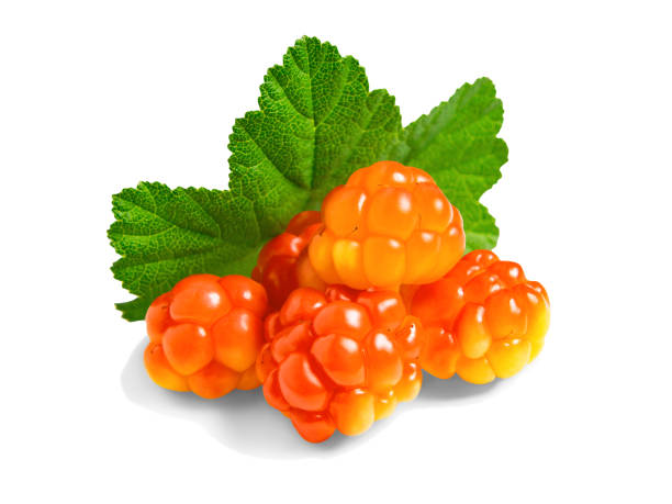 Several berries of cloudberries with a leaf isolated on a white background with clipping paths with shadow and without shadow Several berries of cloudberries with a leaf isolated on a white background with clipping paths with shadow and without shadow. republic of karelia russia stock pictures, royalty-free photos & images