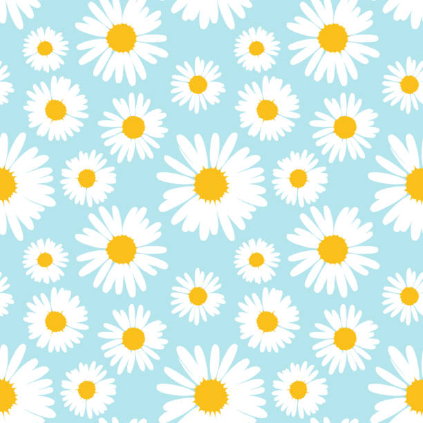 бесшовный узор с цветами ромашки на синем фоне. - seamless pattern floral pattern flower stock illustrations