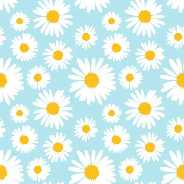 Vector illustration of Seamless pattern with chamomile flowers on blue background.
