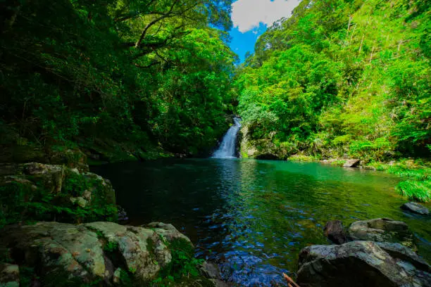 Photo of Materiya waterfall in the green forest in Amami oshima Kagoshima sunny day