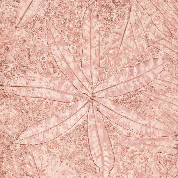 istock marks of leaf on the concrete background. 1162470834