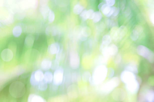 istock Abstract natural green bokeh background 1162476120