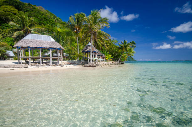 istock Samoan beach fale 1162479117