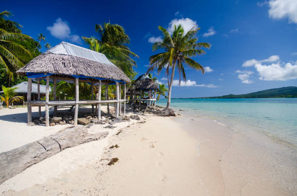 istock Samoan beach fale 1162479118