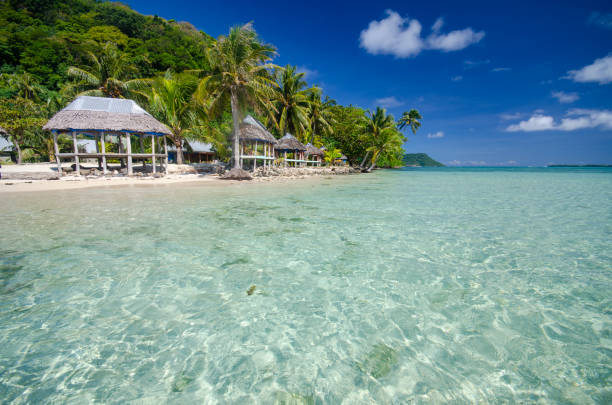 istock Samoan beach fale 1162479119