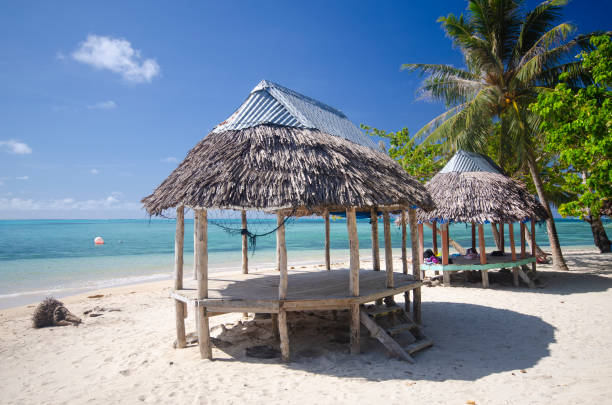 istock Samoan beach fale 1162479130