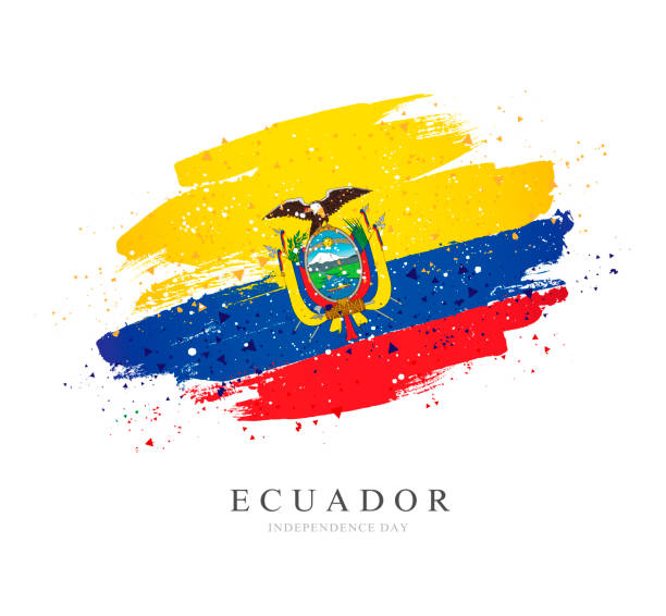 ilustraciones, imágenes clip art, dibujos animados e iconos de stock de bandera de ecuador. ilustración vectorial sobre fondo blanco. pinceladas - ecuador