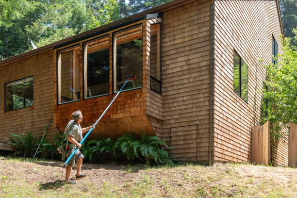 istock Man washing window with long pole and brush 1162484291
