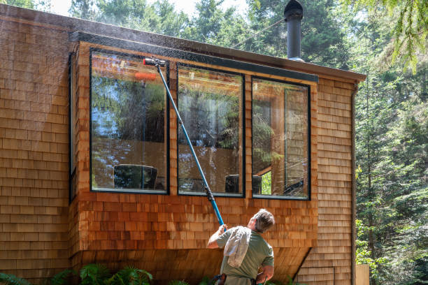Man washing window with long pole and brush