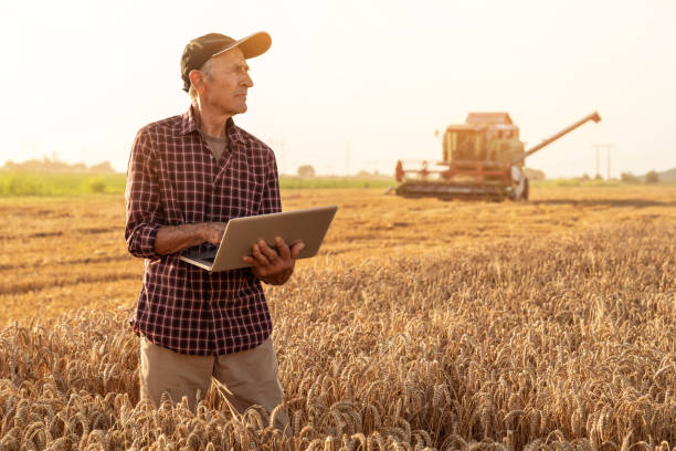 фермер контролировал урожай в своем поле фото запасов - farmer rural scene laptop computer стоковые фото и изображения