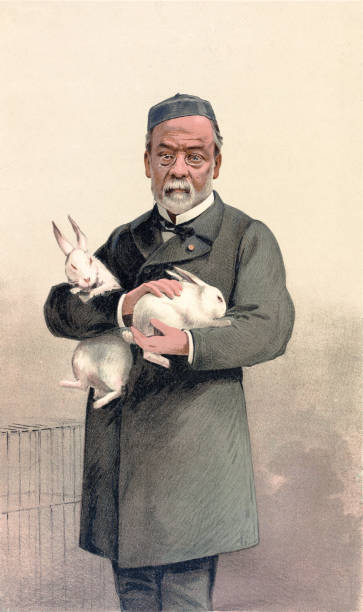 portret louisa pasteura, francuskiego biologa - bunny painting stock illustrations