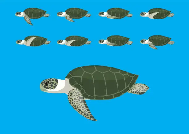 Vector illustration of Sea Turtle Animation Swimming Cartoon Vector Illustration-01