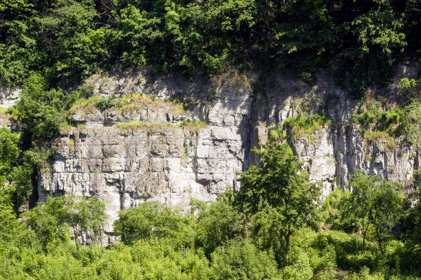 istock Wall of canyon among trees 1162504298