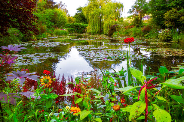 Monet's Garden and Pond Monet’s garden and pond at Giverny, France. Beautiful garden and pond with clustered of colorful flowers, variety of trees and shrubs in summer at Giverny. claude monet photos stock pictures, royalty-free photos & images