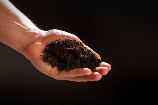 istock Soil in male hands on dark background - Image 