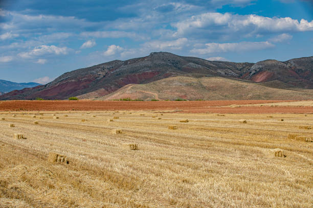 unique landscapes of nature