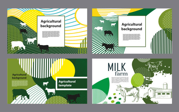 Set of agricultural backgrounds. Dairy farm templates. Horizontal banners with the image of cows and geometric shapes for the background of the cover. Set of agricultural backgrounds. Dairy farm templates. cowshed stock illustrations