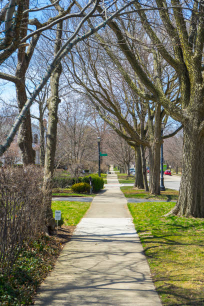 istock typical walkway street  with winter tree in Evanston ,Chicago. 1162518052