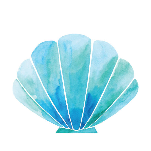 Watercolor Blue Shell Vector illustration of watercolor blue scallop. sand clipart stock illustrations