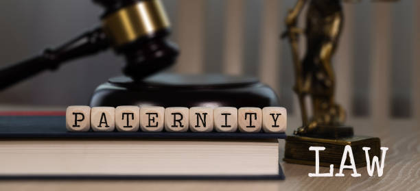 Words PATERNITY LAW composed of wooden dices. Words PATERNITY LAW composed of wooden dices. Wooden gavel and statue of Themis in the background. Closeup paternity stock pictures, royalty-free photos & images