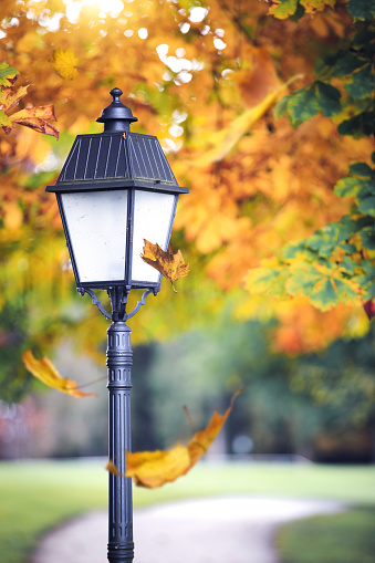 Close-up of street light with falling autumn leaves.