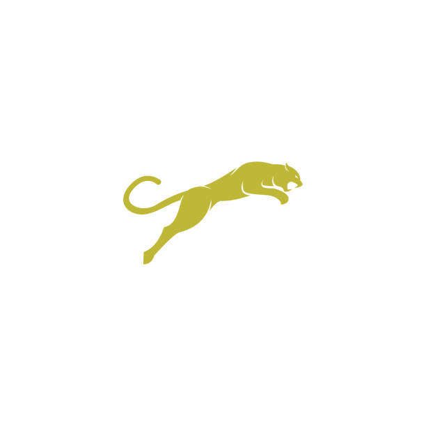simple elegant roaring jaguar logo icon illustration vector template design. simple elegant roaring jaguar logo icon illustration vector template design. big cat stock illustrations