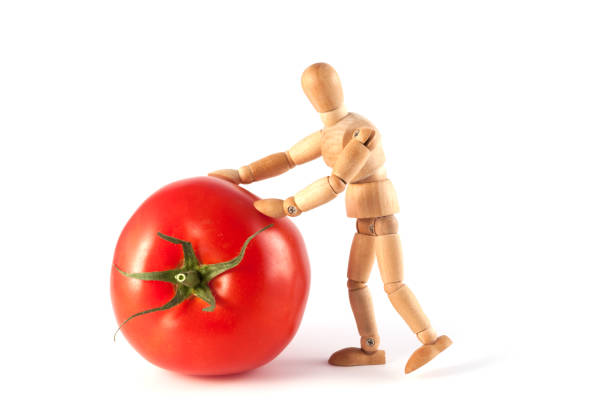 bright red tomato slice at close range. The texture of the tomato in the light